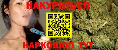 гидра Беслан