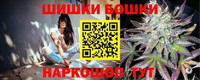 гидра Беслан