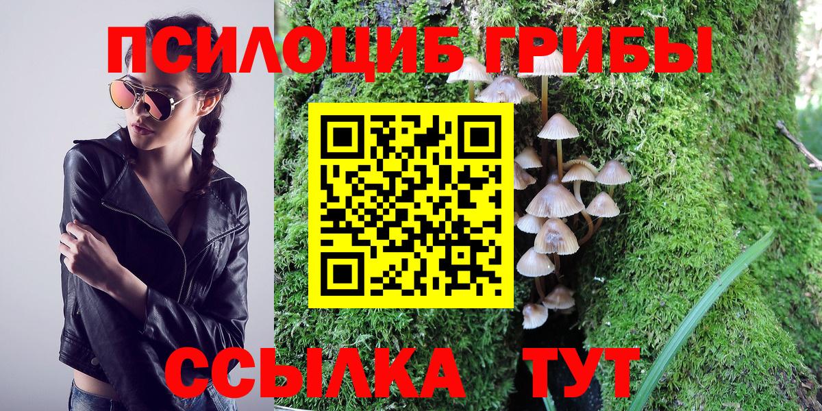 Галлюциногенные грибы Cubensis  Шадринск  Галлюциногенные грибы Cubensis 