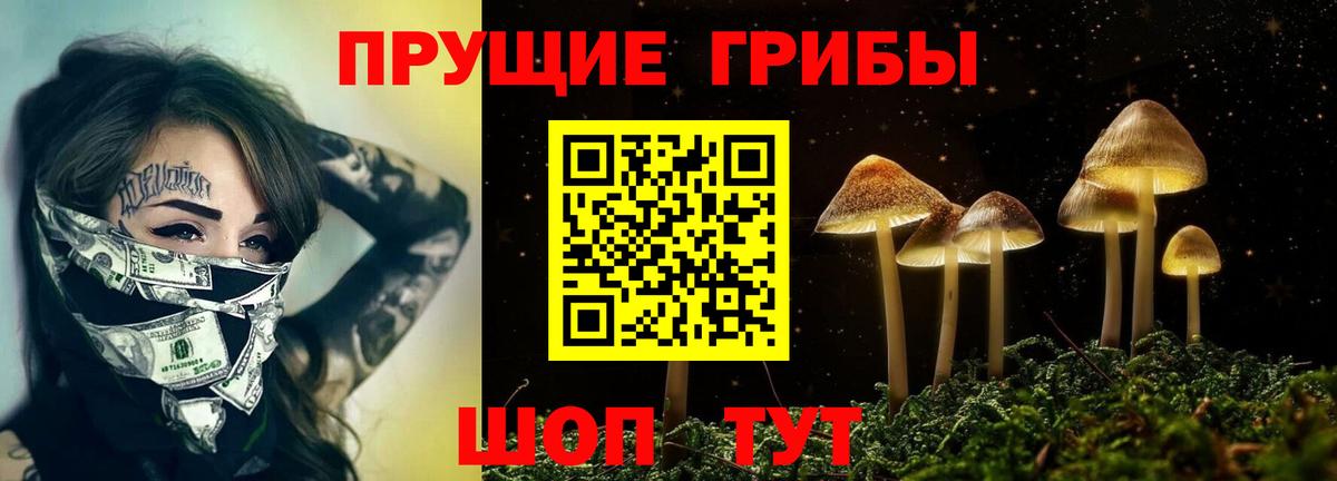 Псилоцибиновые грибы MAGIC MUSHROOMS Шадринск