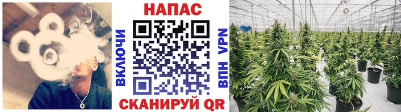 МЕГА ТОР  Шадринск  Каннабис LSD WEED 