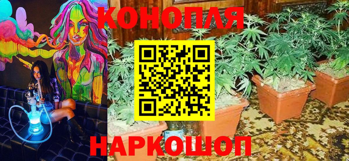 МАРИХУАНА ГИДРОПОН  Бошки Шишки сатива  Шадринск  Шишки марихуана сатива 